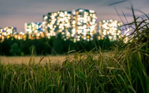 a4e758c5-c82e-4245-b6da-d70af611ef0a