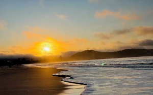 dbf9c787-7168-429a-bae1-19dd8ffb565a