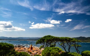 fe5c909a-da8e-4934-a8ef-1dcd43d35679