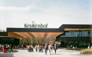 db40d246-bf62-4b1e-97a2-3bb78ea6a136