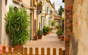 3592ba82-7388-4efb-8894-d79dd1289a2f