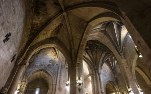 9253ef8d-3cd0-493f-9efd-42690cb82d24