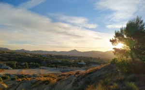 14451272-62e2-4617-8cbd-39d059a4e6f5