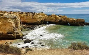 a5105227-1b01-41fb-bfe5-350d4505d87d