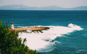 db01360d-ab00-4c8b-b93b-28ab355b7315