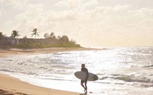 a82dd7c0-0e14-4899-b54f-7be1031f9fd0