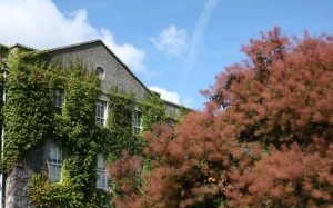 26fcf2d2-d9a8-4bc5-8d8c-b5216bf43e91