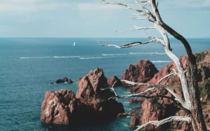 17ab5b4f-0ac6-46c2-87b7-5e7ec87fb24b