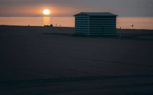 79a9106b-29a2-4928-a4fe-abf90b617f7f