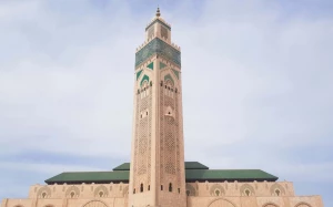 539b2bf2-ba74-4cfb-9d37-ef50cd88315c