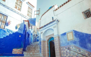 43cf7c80-841a-4607-94f5-9f9cdd745a55