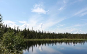 feece216-a6b6-4ec1-a0af-51e7ebbd4f3c