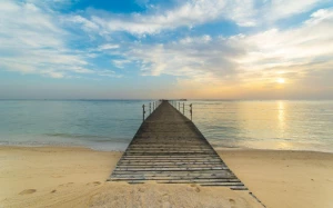 eb4a2694-2a83-4b90-8a93-d1fd56c351b1