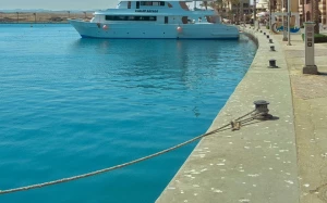 ee3e7e11-ef7a-4d1c-aaba-e44873cc91b8