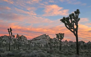 1ecd474a-026f-49bb-aaf4-550dfe04a524