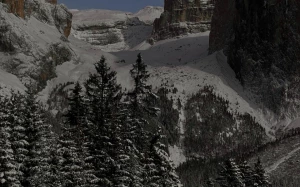 cfe8ebc0-07ec-46bb-ab9a-dcc68a537017