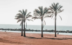 cab35034-96d9-49cf-9986-162cf237eece