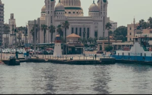 49094a3c-f914-494b-955e-0d6c7ae52119