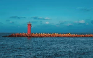 2329b156-e31a-4e72-8c09-38a28b63e52b