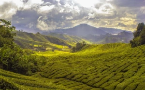 eb200999-d6b3-4d3e-a5a0-a2ee1e476ef5