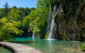 11b5e0a2-649a-4e3a-b7aa-105254199c8f