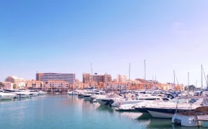 80a71b55-57de-4692-8d42-22cd77536e90