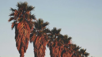 a0c92ae3-9663-4a03-9f14-c91337a58db0
