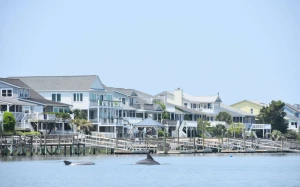 3de26581-1e3c-446f-84a0-71e96b3e7c6e