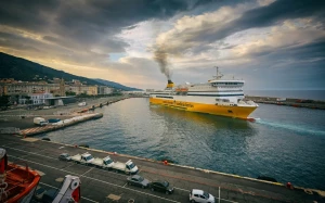 e5d0c844-df8f-4e14-b3d5-423f22c08a6e