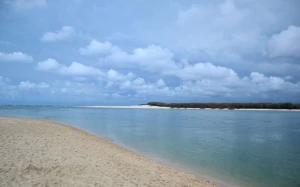 e5a56a8b-7310-4445-b420-55686aa94719