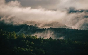 ad777688-d108-4d93-961c-b5819024222b