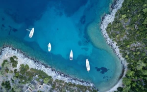 23832cd9-8323-4026-817d-382ba6911c1e