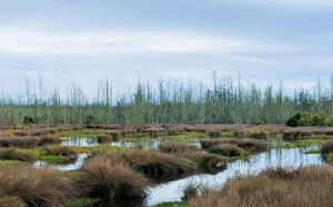 32d5434d-5f9e-4f7b-bd08-e402983caa54