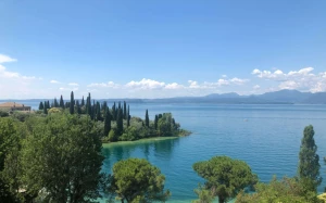 e6c62c59-3811-44d2-bf85-5b58a510f48f