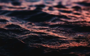 15a2f973-93f5-40e9-abbd-96e997cc70b2