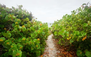 1e67f9f2-3024-495f-b9cc-5f8bac8e937b