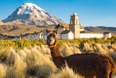 Bolivia Airport Transfer