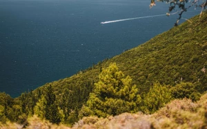 68bc794c-9c6c-40eb-83d3-e03bd5c2ff3f