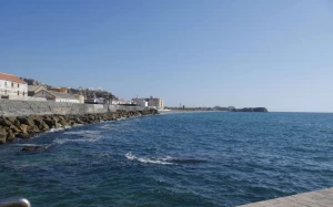 5f6250a4-fb74-40a5-85f5-c5c717dfd39c