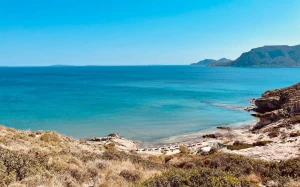 92af569a-3ede-4c6f-ba7a-435ee86e47d4