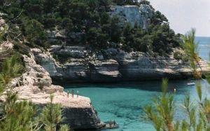 8cd3bd55-011e-465b-a62a-c05a43b3b9e3