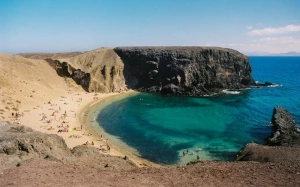 72428b6e-68a3-484b-a740-e23b79e96d95