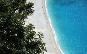 18aa183d-c70c-41a2-8ba9-54fed35af74e