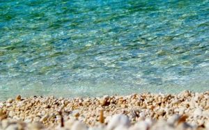 b5d6dfa3-8505-4b81-ba1b-1f67f4103ae5