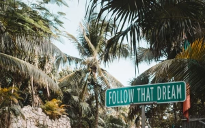 443721f8-377a-44bd-a859-265adedf197d