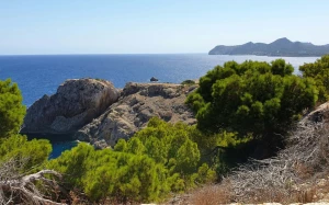 35ab4171-6dc3-4e30-8a56-e3c0c8213851