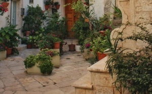 58efee3a-360b-48fb-96c5-3e05186bcd68