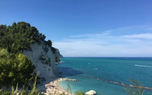 2965191e-2ead-4588-95bb-6871b3c3e94b