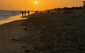 d0b51c75-e48b-46fd-9e3b-009cf19a91c3