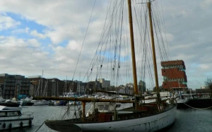 d9aa2712-7a12-4af2-953a-fc2ebd807af6